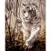 Картина за номерами Strateg ПРЕМІУМ Білий тигр розміром 40х50 см (GS1124)