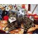 Paint by numbers Strateg PREMIUM Cat chef size 40х50 sm (GS113)