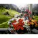 Paint by numbers Strateg PREMIUM Mountain bouquet size 40x50 cm (GS1156)