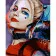 Paint by number Strateg PREMIUM Bright Harley with varnish size 40x50 cm (GS1166)