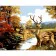 Paint by numbers Strateg PREMIUM Deer in the forest size 40x50 cm (GS1173)