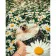 Paint by numbers Strateg PREMIUM Cheerful hedgehog size 40x50 cm (GS1189)