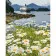 Paint by number Strateg PREMIUM Dream landscape with varnish size 40x50 cm (GS1211)