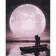 Paint by number Strateg PREMIUM Two in the moonlight with varnish size 40x50 cm (GS1216)