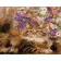 Paint by numbers Strateg PREMIUM Cat near flowers size 40х50 sm (GS122)