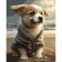 Paint by number Strateg PREMIUM A small corgi with varnish size 40x50 cm (GS1257)