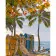 Paint by numbers Strateg PREMIUM Surfing in Hawaii size 40x50 cm (GS1278)