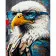 Paint by numbers Strateg PREMIUM Cool eagle size 40x50 cm (GS1291)