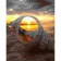 Paint by numbers Strateg PREMIUM Sunset in a shell size 40x50 cm (GS1305)