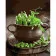 Paint by number Strateg PREMIUM Green peas with varnish size 40x50 cm (GS1314)