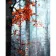 Картина за номерами Strateg ПРЕМІУМ Помаранчевий ліс з лаком та з рівнем розміром 40х50 см (GS1346)