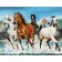 Paint by numbers Strateg PREMIUM Brave horses size 40х50 sm (GS140)