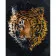 Paint by number Strateg PREMIUM Art tiger with lacquer and a size of 40x50 cm (GS1436)