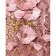 Paint by number Strateg PREMIUM Pink flowers with lacquer and a size of 40x50 cm (GS1450)