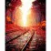 Paint by numbers Strateg PREMIUM Road between autumn trees size 40х50 sm (GS148)