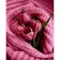 Paint by number Strateg PREMIUM Tulips in knitted fabric with varnish and with an increase in size 40x50 cm (GS1508)