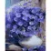 Paint by number Strateg PREMIUM Violet flowers with varnish and with an increase in size 40x50 cm (GS1512)