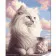 Paint by number Strateg Fluffy cat on a colored background size 40x50 (GS1598)