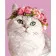 Картина по номерам Strateg Кошка с венком из цветов на цветном фоне размером 40х50  (GS1601)