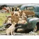 Картина по номерам Strateg Собачья семья на ферме на цветном фоне размером 40х50  (GS1620)