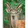 Paint by numbers Strateg PREMIUM Beautiful deer size 40х50 sm (GS169)