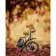 Paint by numbers Strateg PREMIUM Bicycle in autumn leaves size 40х50 sm (GS174)