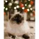 Картина за номерами Strateg ПРЕМІУМ Бірманська кішка розміром 40х50 см (GS223)