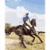 Paint by numbers Strateg PREMIUM Equestrian competition size 40х50 sm (GS288)