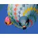 Paint by numbers Strateg PREMIUM Bright balloons size 40х50 sm (GS304)