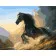 Paint by numbers Strateg PREMIUM Black Horse size 40х50 sm (GS308)