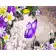 Paint by numbers Strateg PREMIUM Purple butterfly size 40x50 cm (GS324)