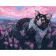 Paint by numbers Strateg PREMIUM Anime cat among flowers size 40x50 cm (GS366)