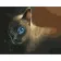 Картина за номерами Strateg ПРЕМІУМ Блакитноокий кіт розміром 40х50 см (GS368)