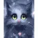 Paint by numbers Strateg PREMIUM Green-eyed kitten size 40x50 cm (GS373)