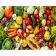 Paint by numbers Strateg PREMIUM Vegetable plateau size 40x50 cm (GS396)