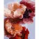 Картина за номерами Strateg ПРЕМІУМ Багряні квіти розміром 40х50 см (GS417)