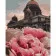 Paint by number Strateg PREMIUM Peonies on the background of the cathedral size 40x50 cm (GS436)