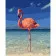 Paint by numbers Strateg PREMIUM Pink flamingo size 40x50 cm (GS455)