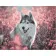 Paint by numbers Strateg PREMIUM Husky in the middle of the field size 40x50 cm (GS460)