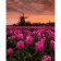 Paint by numbers Strateg PREMIUM Crimson tulips size 40x50 cm (GS467)