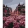 Paint by numbers Strateg PREMIUM Evening city size 40x50 cm (GS475)