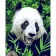 Paint by numbers Strateg PREMIUM Hungry panda size 40x50 cm (GS517)