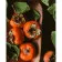 Paint by number Strateg PREMIUM Sweet persimmon size 40x50 cm (GS588)
