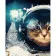 Paint by number Strateg PREMIUM Cat-astronaut size 40x50 cm (GS590)