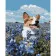 Paint by number Strateg PREMIUM Corgi in the field size 40x50 cm (GS607)