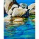 Paint by number Strateg PREMIUM Sea stones size 40x50 cm (GS608)