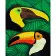 Paint by number Strateg PREMIUM A pair of toucans size 40x50 cm (GS614)