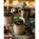 Paint by number Strateg PREMIUM Coniferous tea size 40x50 cm (GS626)