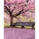 Paint by number Strateg PREMIUM Flowering bench size 40x50 cm (GS666)