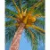 Paint by number Strateg PREMIUM Coconuts on a palm tree size 40x50 cm (GS712)